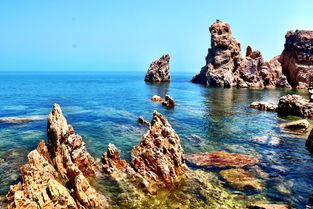 礁礁石的礁怎么组词