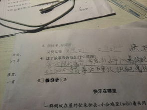 又组词怎么煮 又组词怎么煮