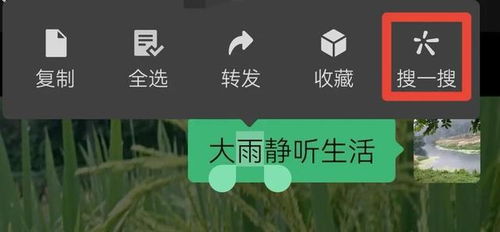 咱们的长可以怎么组词