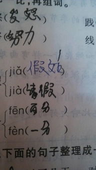 是的的是字怎么可以组词