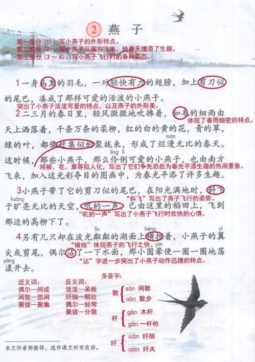 燕子里的燕怎么写组词
