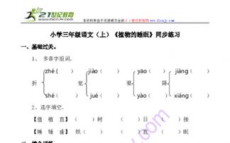 植物植物怎么组词