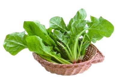 植物植物怎么组词