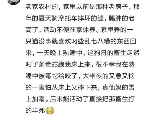 操蛋的操怎么组词 操蛋的操怎么组词