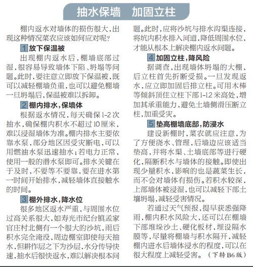 减轻的轻可以怎么组词