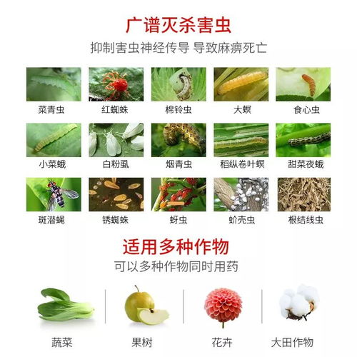 牙虫的蚜蚜怎么组词