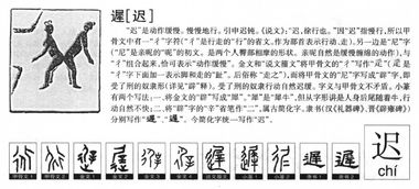 我迟到的迟怎么组词 我迟到的迟怎么组词