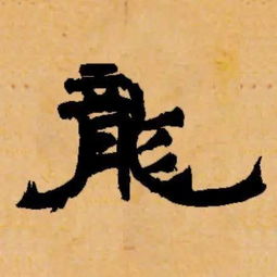 传字怎么写怎么组词