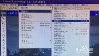 调亮的亮怎么组词
