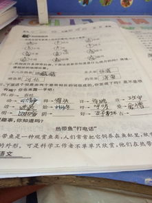 反它怎么组词 反它怎么组词