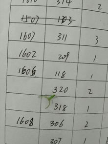 蜘蛛怎么组词