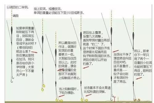 钓鱼的钓怎么组词