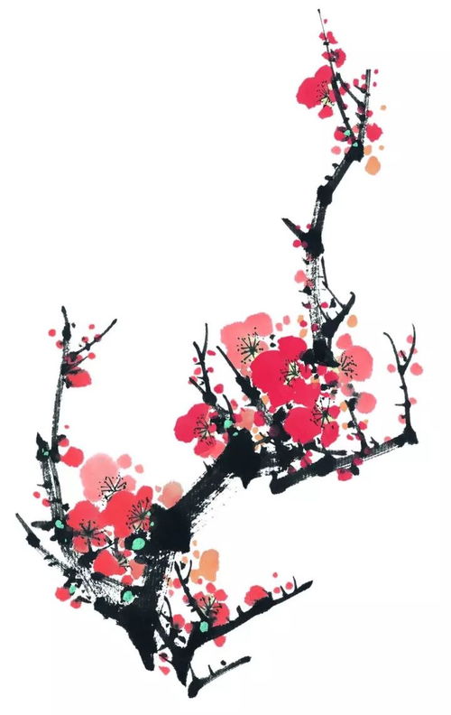 梅花的梅组词怎么组词