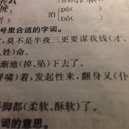 掸的组词怎么读 掸的组词怎么读