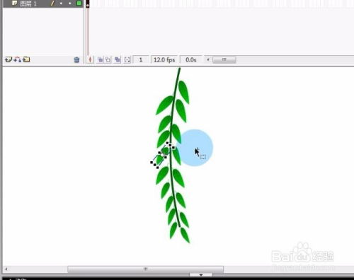 小布柳叶的柳怎么组词 小布柳叶的柳怎么组词