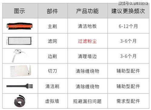 扫地的扫怎么组词