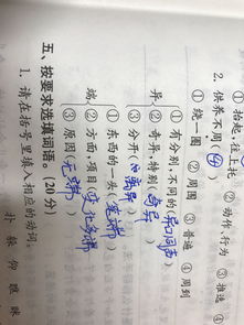 双的组词有哪些