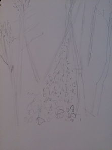 白桦的画画怎么组词