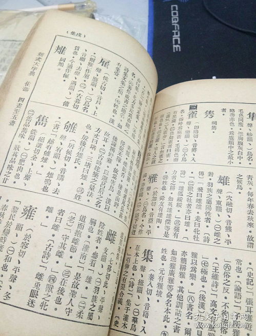 酉戌怎么组词