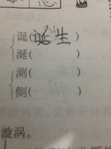 星星的后面怎么组词啊