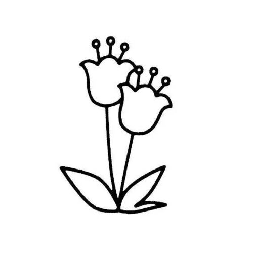 植物组词怎么画