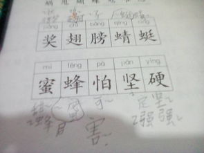 病怎么组词啊