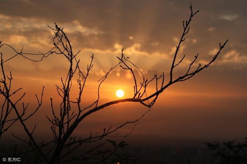 一首和怎么组词
