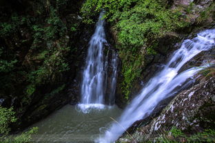 涧上水的涧怎么组词
