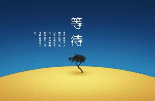 毁怎么组词褒义词