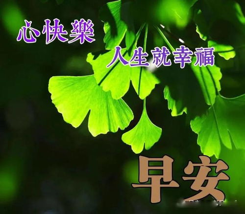 释怀心情的后面怎么组词 释怀心情的后面怎么组词