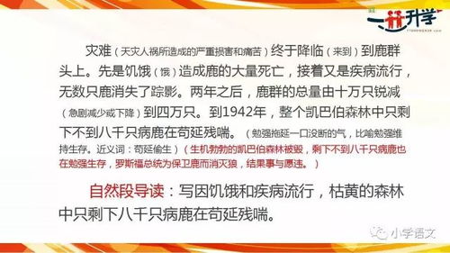 朗读的狼狼怎么组词