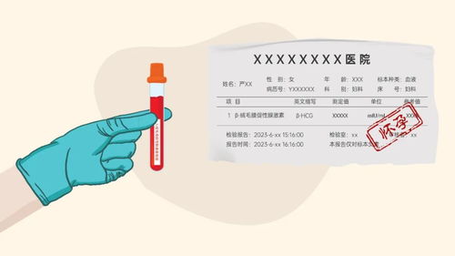 肚前面用bao怎么组词