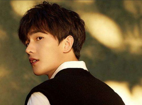 杨洋升起的杨怎么组词