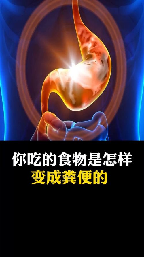 变成便便的便怎么组词