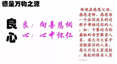 新生的马怎么组词