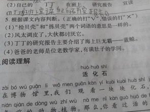 贝的故事词语怎么组词