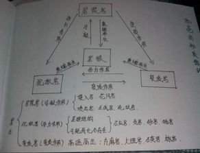 岩石的岩怎么组词