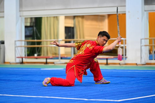 武术的武术的武怎么组词