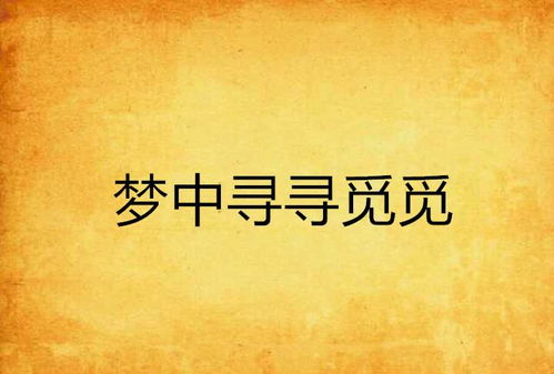 寻寻觅觅怎么组词啊