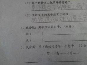 怎么用吨组词造句