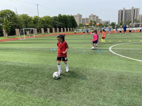 足球的足怎么组词怎么写