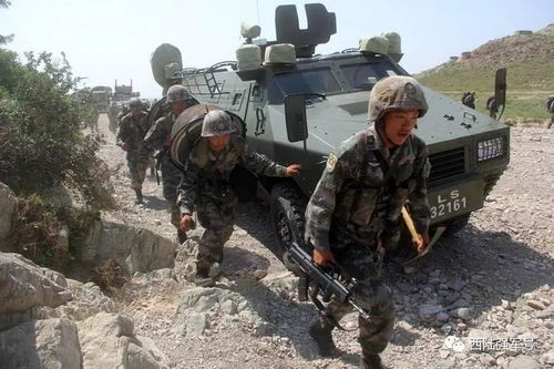 兵的组词 兵的组词