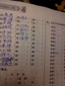 求你的求组词怎么组