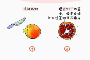 bb莲蓬的剥怎么组词 bb莲蓬的剥怎么组词