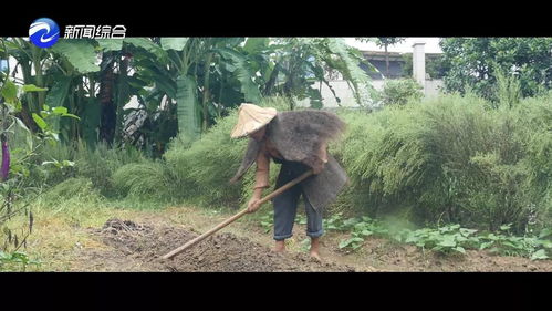 蓑衣的蓑怎么组词