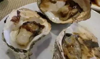 煮扇贝怎么组词