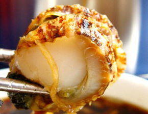 煮扇贝怎么组词