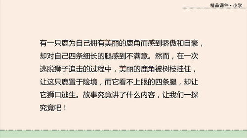 配怎么组词语
