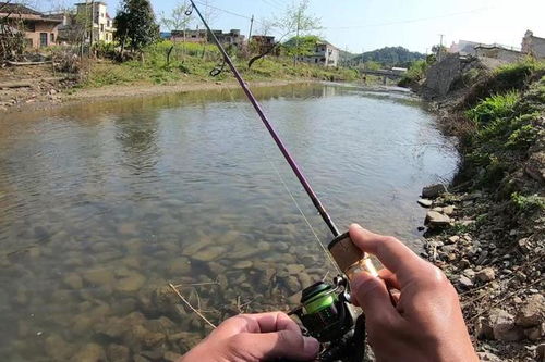 溪流溪怎么组词