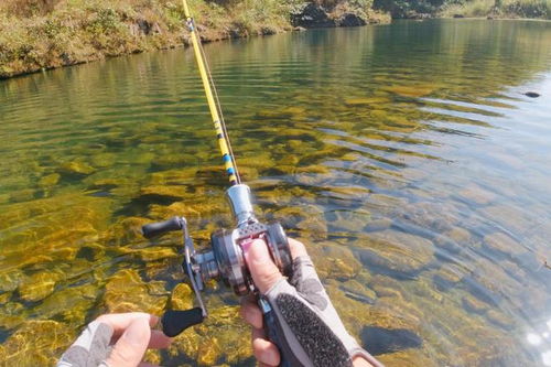 溪流溪怎么组词